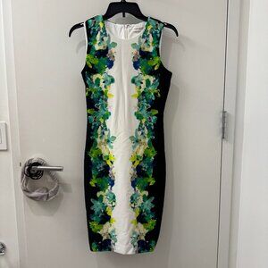 Calvin Klein CK Dress Size 2 | Oriental Floral Print